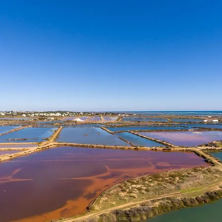 Дом отдыха The Loft - A Birdwatchers Paradise Фузета