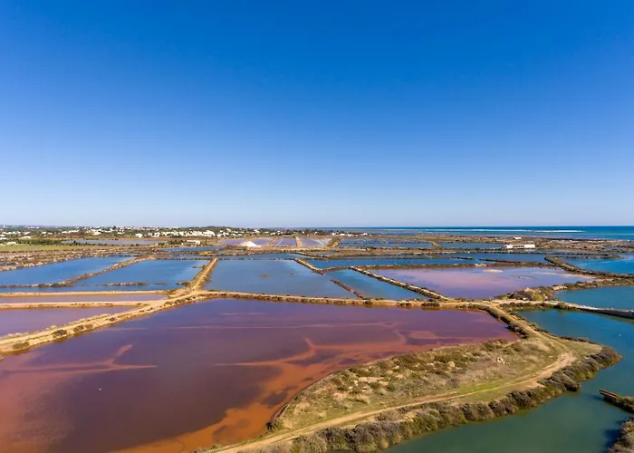 度假居 The Loft - A Birdwatchers Paradise 夫塞塔