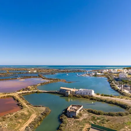Vakantiehuis The Loft - A Birdwatchers Paradise *